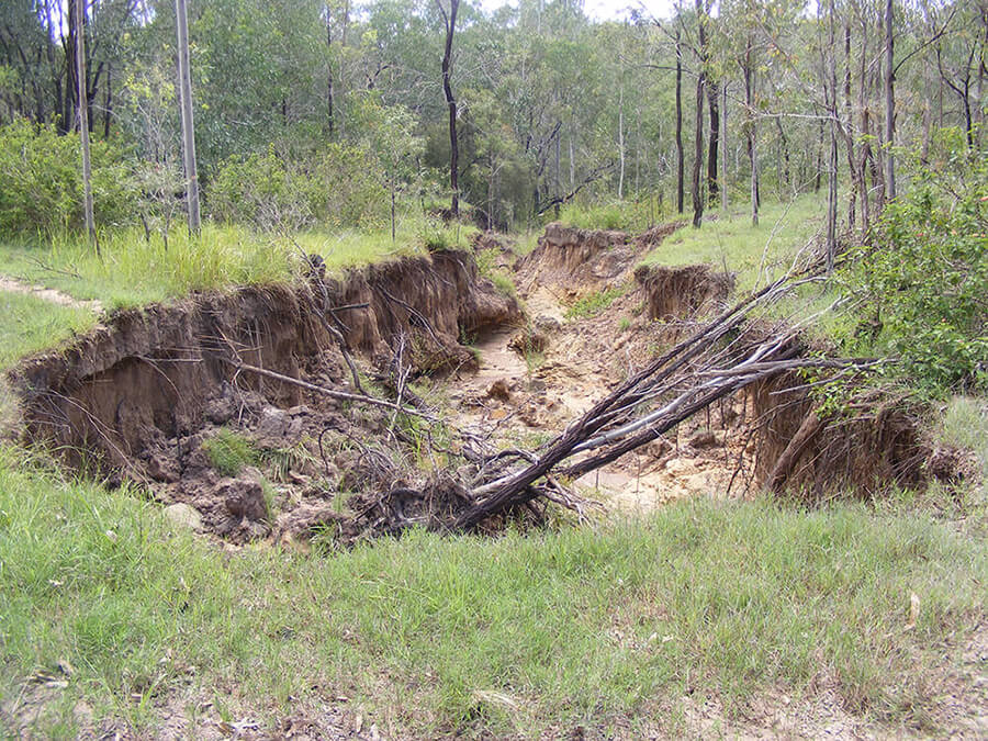 Landloch Gully Erosion Rehabilitation Monitoring