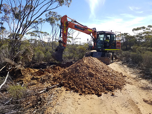 Soil survey and digital mapping