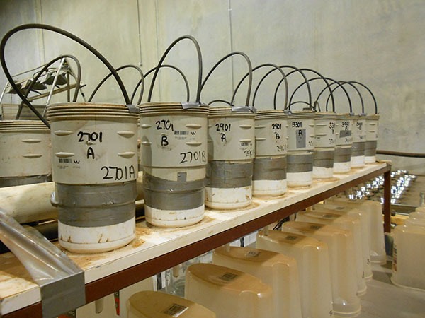 Testing of soil